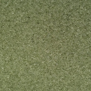 Nat Uiterlijk Polijstpad Korrel 3000 Groen - LustroPad